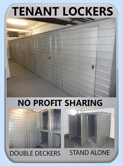 storage locker options